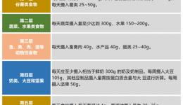 中国学龄儿童平衡膳食宝塔（2022）图示解析